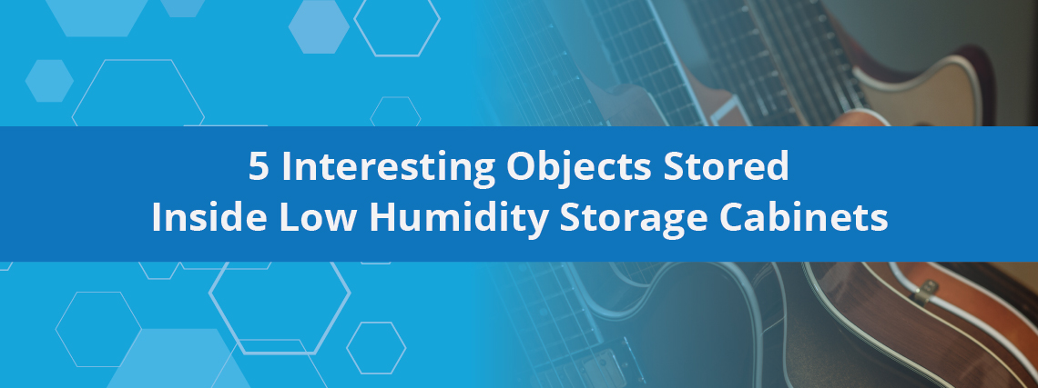 5 Interesting Objects Stored Inside Low Humidity Storage Cabinets