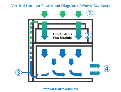 Vertical Laminar Flow Hood Diagram