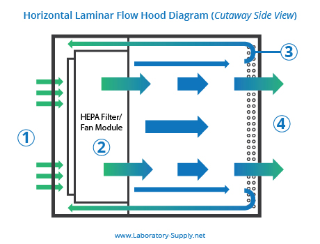 Horizontal Laminar Flow Hood Diagram
