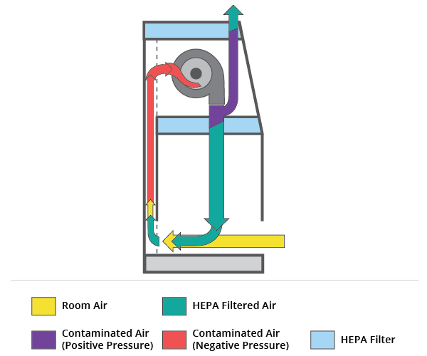 Biological Safety Cabinet Diagram